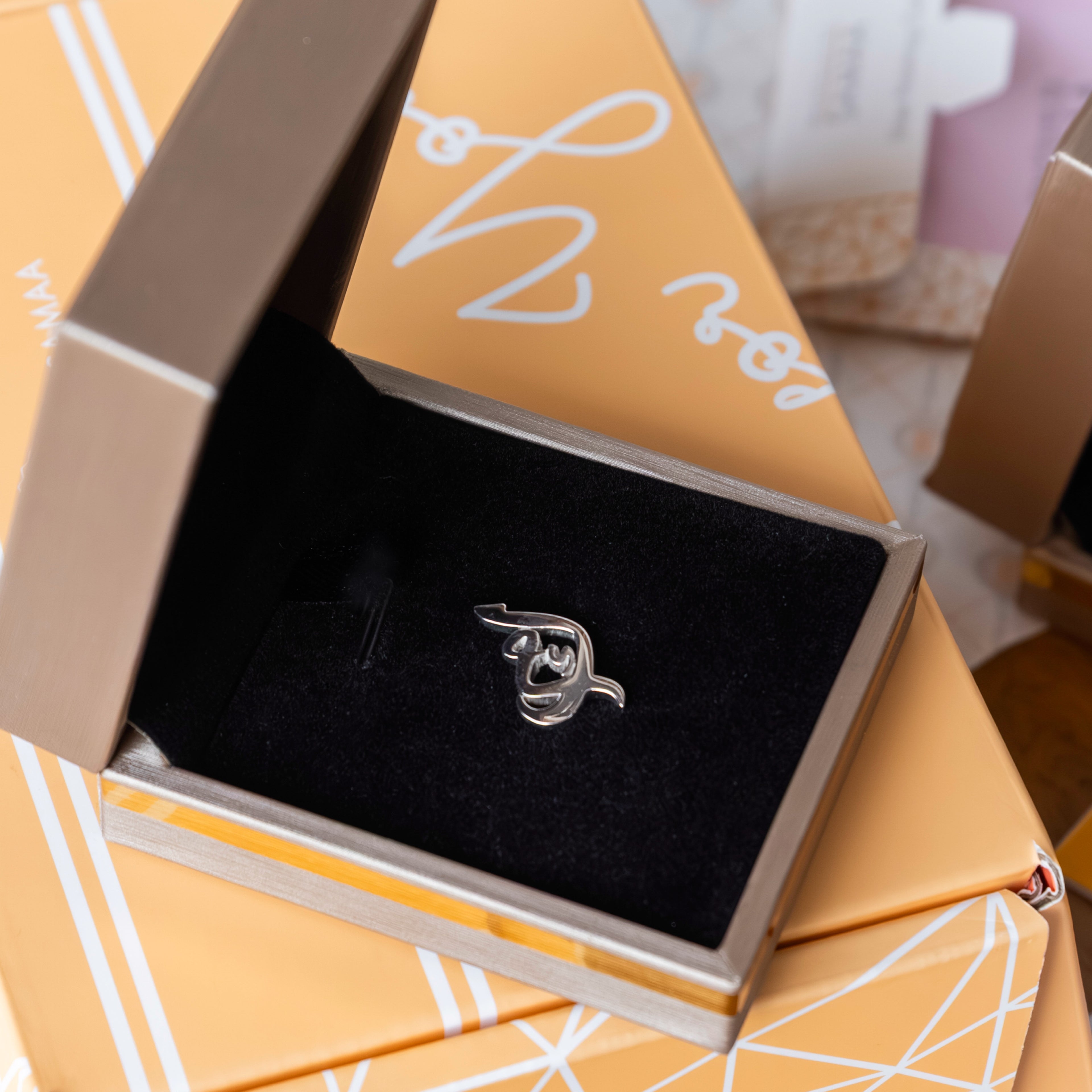 Arabic letters Suitpin in a Box