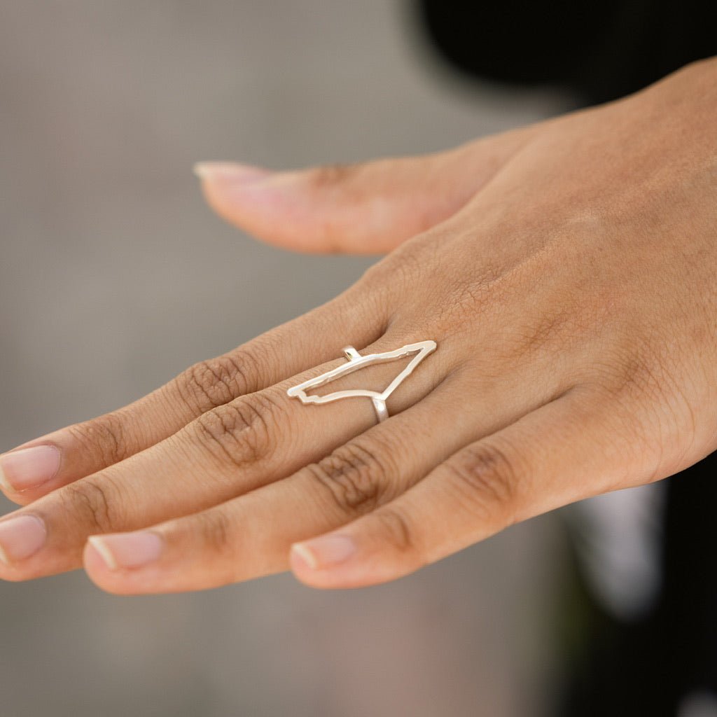 silver ring with palestine map for women